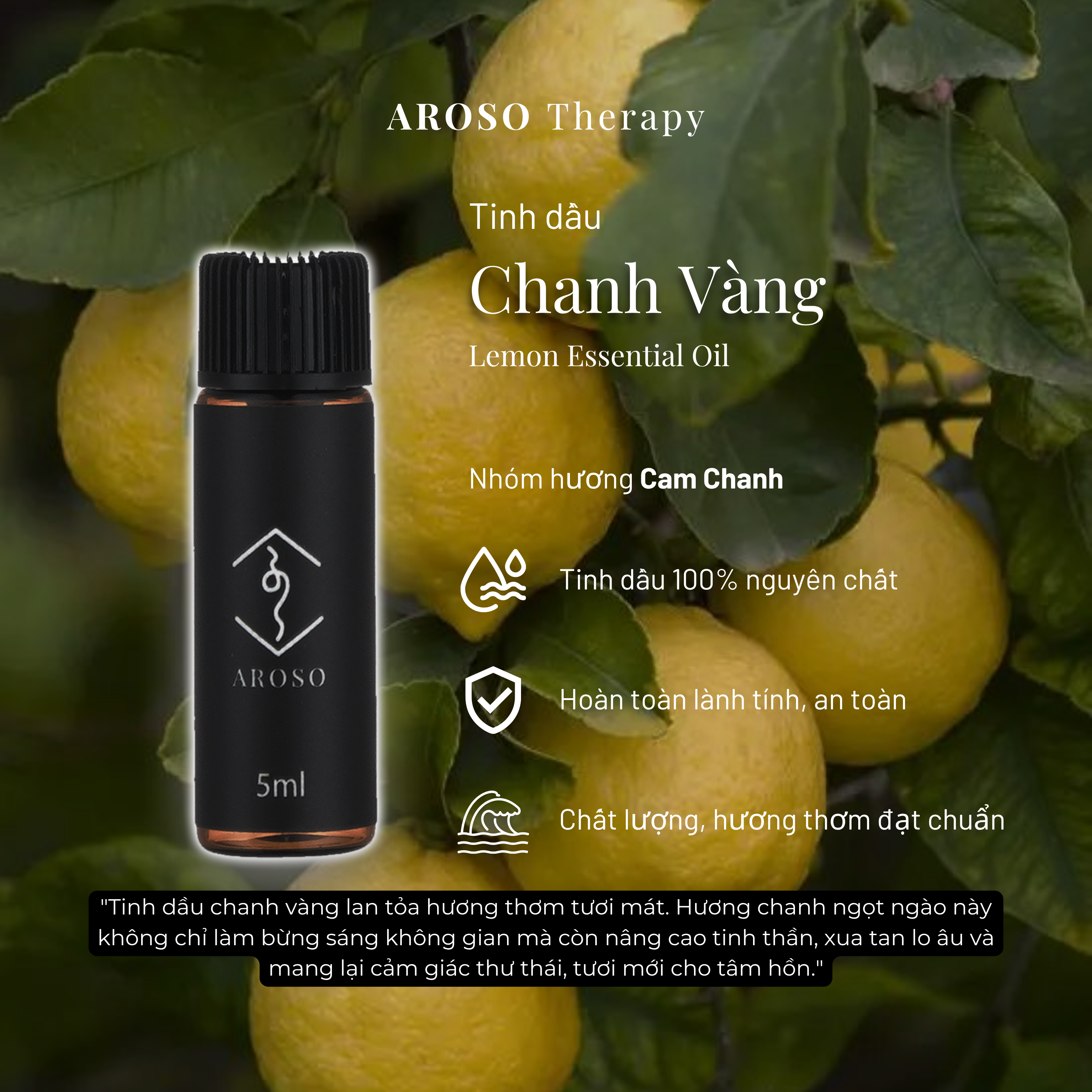 Tinh dầu Chanh Vàng