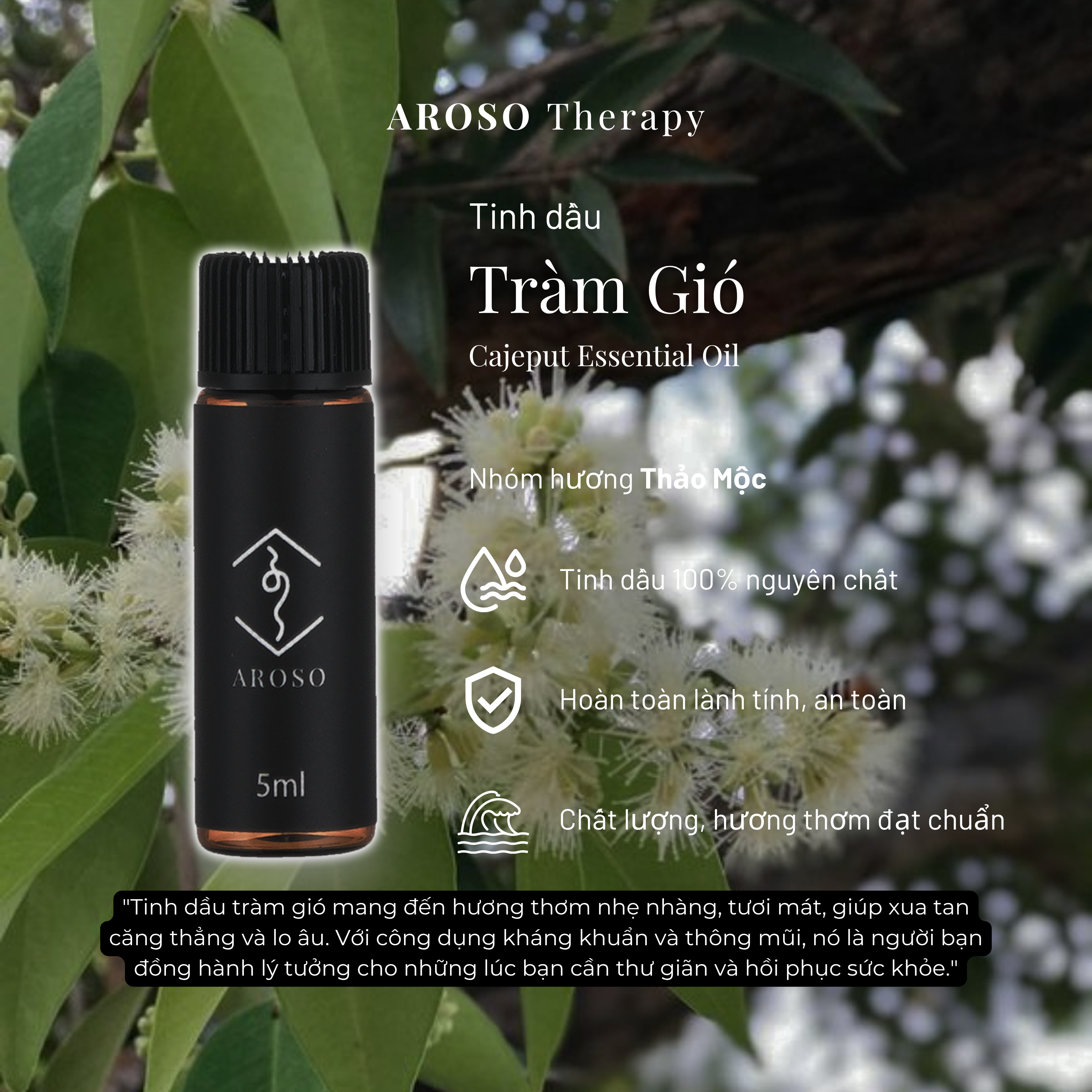Tinh dầu Tràm Gió