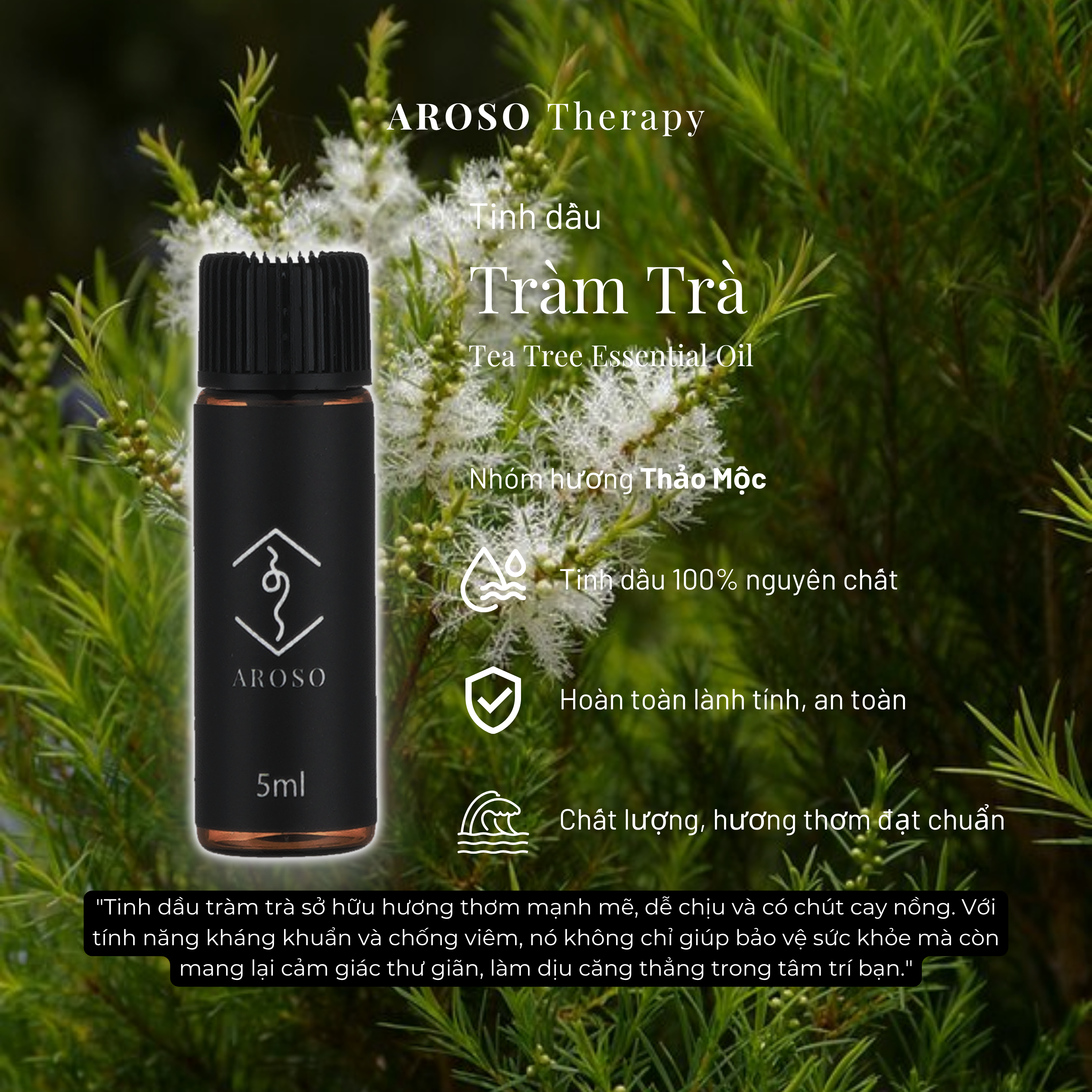 Tinh dầu Tràm Trà